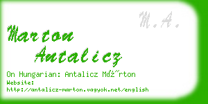 marton antalicz business card